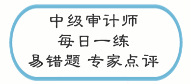 中級審計(jì)師考試易錯(cuò)題專家點(diǎn)評