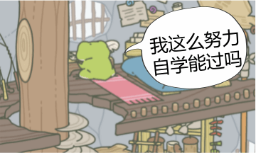 自學(xué)CPA能過嗎？