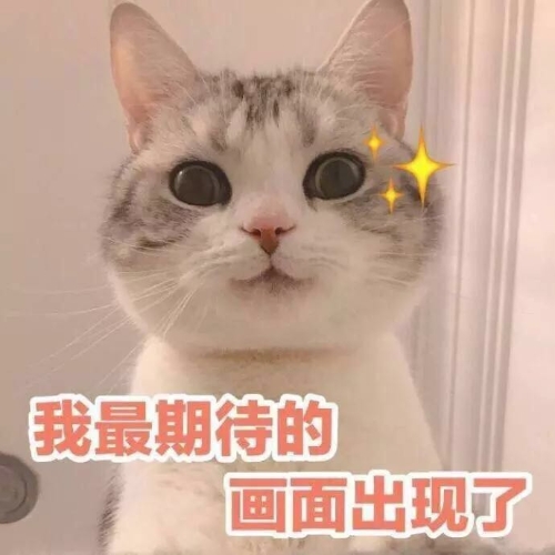 注會(huì)都考什么？一共幾科？