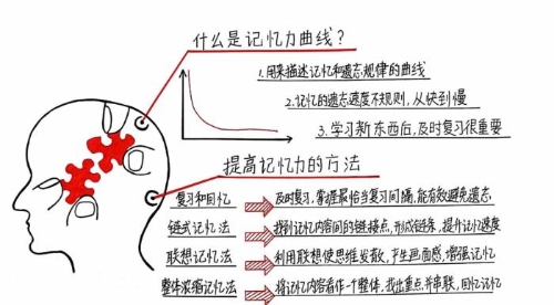 “注會(huì)知識(shí)點(diǎn)學(xué)完就忘怎么辦？如何能提高記憶力？