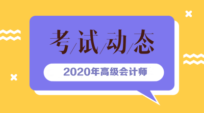 浙江2020年高級會計(jì)師報(bào)名條件