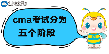 cma考試分為五個階段！