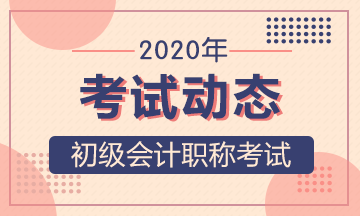 2020年廣西南寧初級(jí)會(huì)計(jì)考試大綱是什么呢？