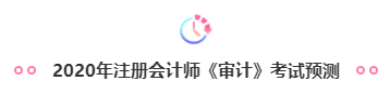 2020注會(huì)《審計(jì)》重點(diǎn)章節(jié)是這些？速來了解！