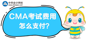 CMA考試費(fèi)用怎么支付？能用支付寶或者微信嗎？
