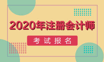 西藏2020年注冊(cè)會(huì)計(jì)師考試報(bào)名程序安排一覽! 西藏2020年注冊(cè)會(huì)計(jì)師考試報(bào)名程序安排一覽!