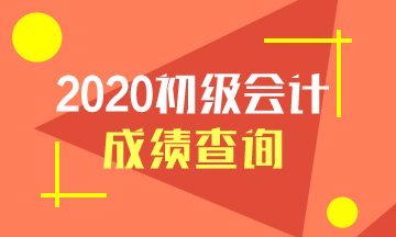 2020年上海市初級會計師考試成績什么時候公布？