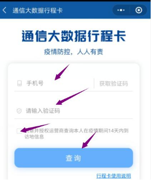 （三）最后輸入自己的手機(jī)號碼，點(diǎn)擊查詢。