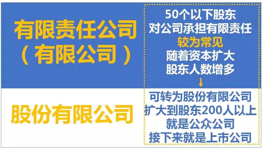 最全總結(jié)！公司、個(gè)體戶、分公司、子公司、有限公司有啥區(qū)別？
