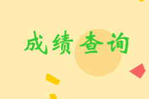 湖南岳陽中級會計考試成績查詢截止了？