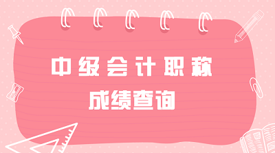 2021海南三亞市中級(jí)會(huì)計(jì)考試成績(jī)查詢是什么時(shí)候？