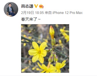 網(wǎng)校中級會計老師齊“報春” 花式催學你招架得住嗎？