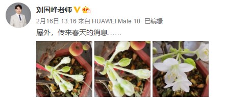 網(wǎng)校中級會計老師齊“報春” 花式催學你招架得住嗎？
