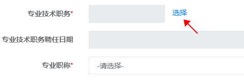 高級經(jīng)濟(jì)師專業(yè)技術(shù)職務(wù)怎么填寫？