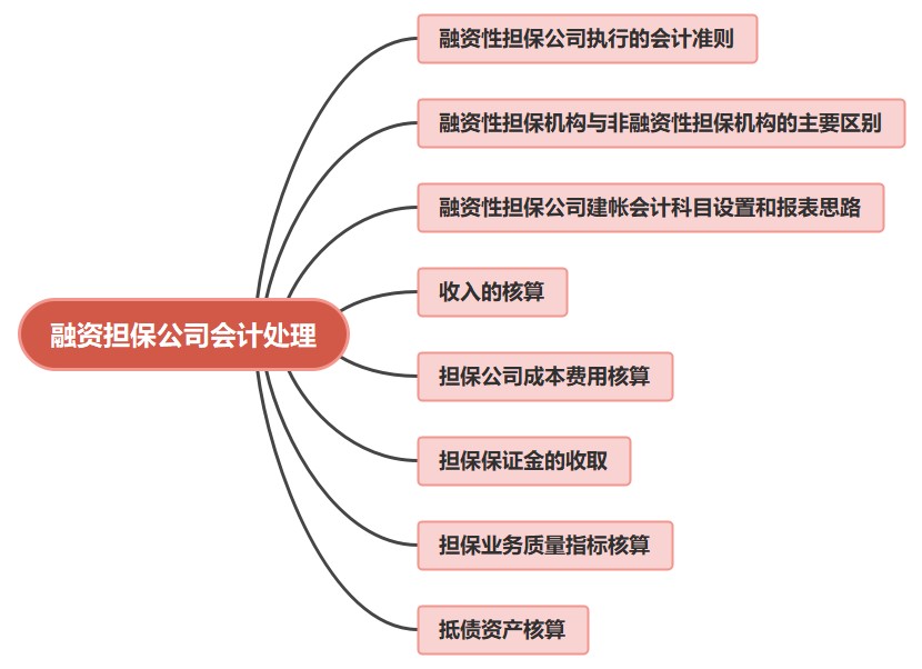 金融公司財務(wù)人員必看！融資擔(dān)保公司會計處理