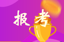 稅務(wù)師考試報(bào)名；稅務(wù)師報(bào)名