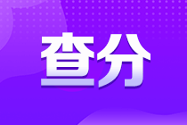 廣西2022年初級會計(jì)成績查分入口你了解嗎？