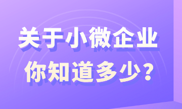 關(guān)于小微企業(yè)，你知道多少？