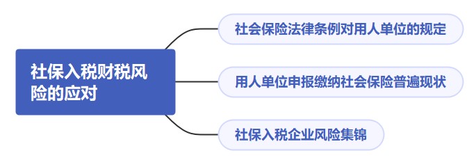 社保入稅財(cái)稅風(fēng)險(xiǎn)，該如何應(yīng)對(duì)呢？