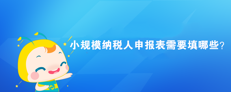 小規(guī)模納稅人申報表需要填哪些？