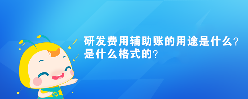 研發(fā)費(fèi)用輔助賬的用途是什么？是什么格式的？