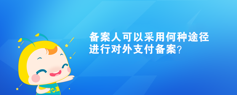 備案人可以采用何種途徑進(jìn)行對(duì)外支付備案？