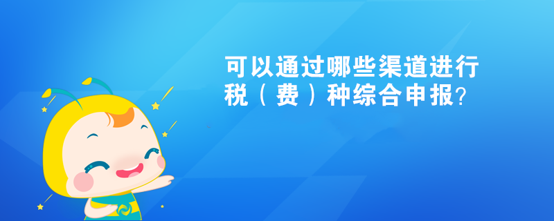 可以通過哪些渠道進行稅（費）種綜合申報？