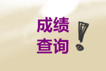 成都證券從業(yè)考試成績查詢流程？