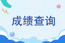 2022年初級(jí)會(huì)計(jì)考試成績(jī)查詢網(wǎng)址是哪個(gè)？