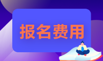 遼寧省會(huì)計(jì)初級(jí)職稱(chēng)報(bào)名費(fèi)你知道嗎？