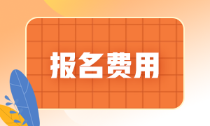 江西省初級(jí)會(huì)計(jì)師報(bào)名費(fèi)你知道嗎？
