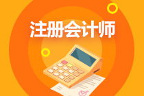 注冊會計師全國網上報名系統(tǒng) 注冊會計師全國網上報名系統(tǒng)