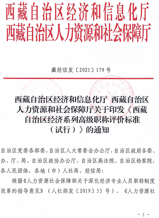 西藏高級經(jīng)濟師評價標準（試行）1