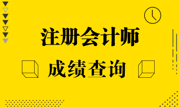 注冊會計師考試成績一般什么時候出來呢？