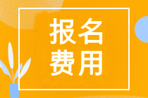 中級(jí)經(jīng)濟(jì)師報(bào)名費(fèi)用大概多少錢一年？