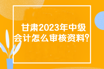 甘肅2023年中級會計(jì)怎么審核資料？