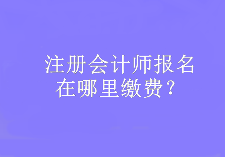 注冊會計師報名在哪里繳費？