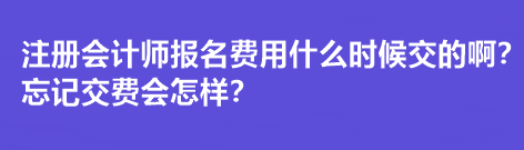 注冊會計師報名費用什么時候交的??？忘記交費會怎樣？