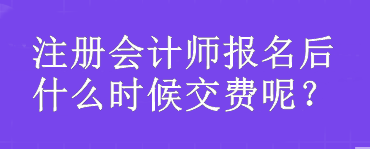 注冊(cè)會(huì)計(jì)師報(bào)名后什么時(shí)候交費(fèi)呢？