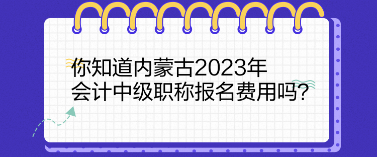 你知道內(nèi)蒙古2023年會計中級職稱報名費用嗎？