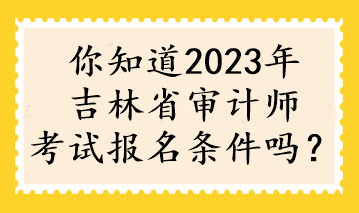 你知道2023年吉林省審計師考試報名條件嗎？