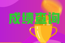 關(guān)于湖南省2023年初級會計考試成績查詢時間你了解嗎？
