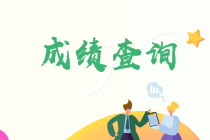 內(nèi)蒙古2023年初級(jí)會(huì)計(jì)考試成績(jī)查詢?nèi)肟陂_(kāi)通嘍~