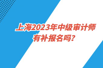 上海2023年中級審計師有補報名嗎？