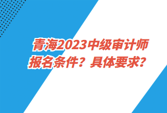 青海2023中級(jí)審計(jì)師報(bào)名條件？具體要求？
