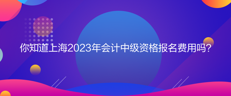 你知道上海2023年會計中級資格報名費用嗎？