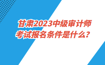 甘肅2023中級審計師考試報名條件是什么？