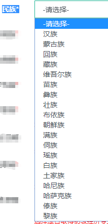初中級經(jīng)濟(jì)師報(bào)名民族選擇