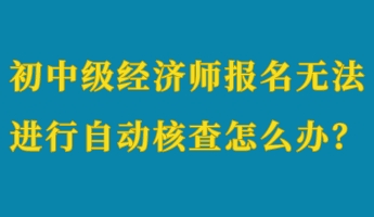 初中級經(jīng)濟師報名無法進行自動核查怎么辦？