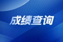 國際注冊(cè)內(nèi)部審計(jì)師查分入口是什么？